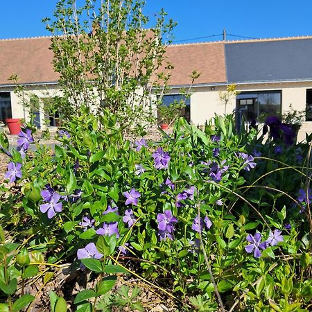Au Ginkgo Bed & Breakfast Chaumont-sur-Loire Exterior photo